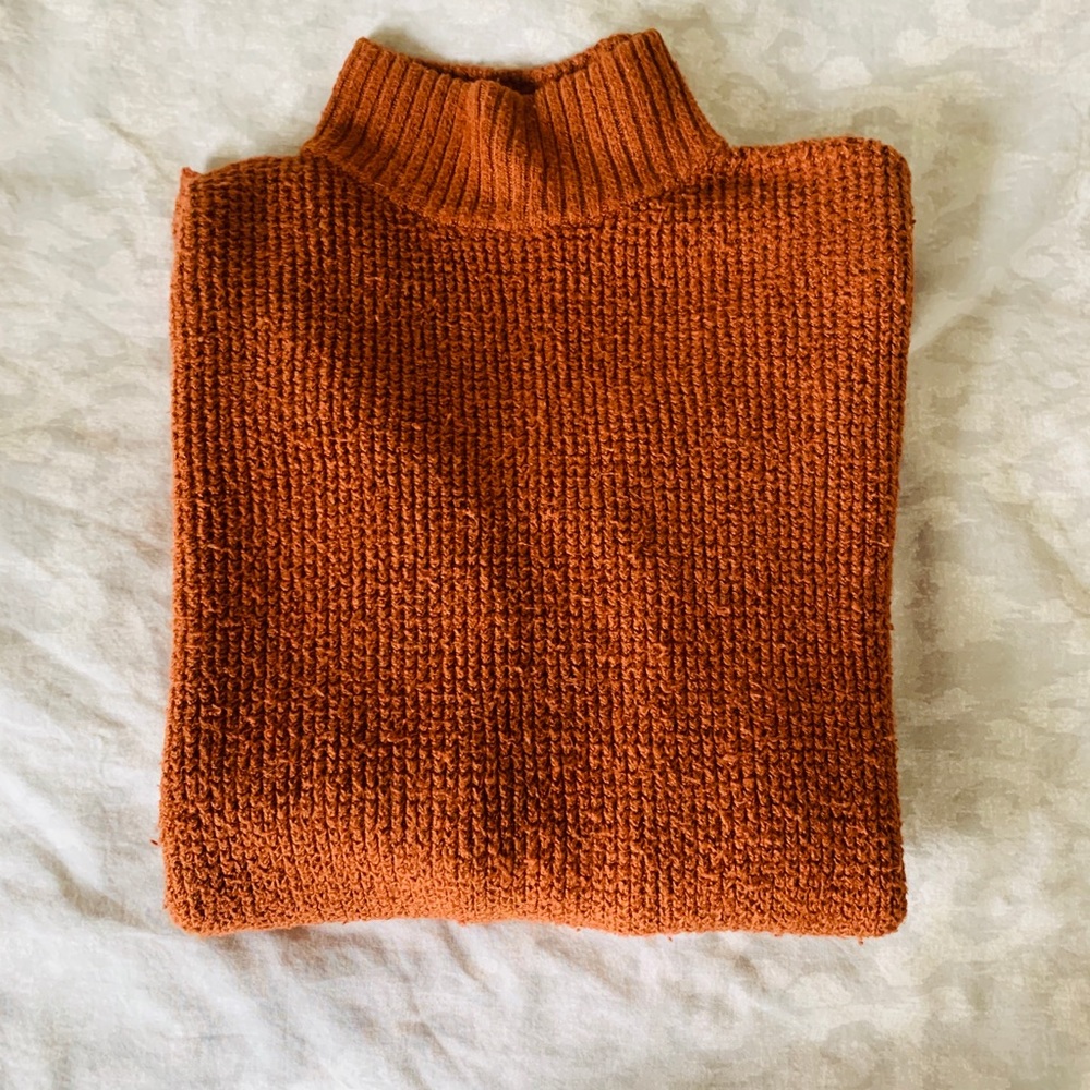 American Eagle Turtleneck